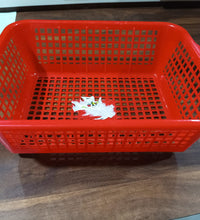 Plastic fruit and vegetable washing basket, versatile dish rack for kitchen organization.