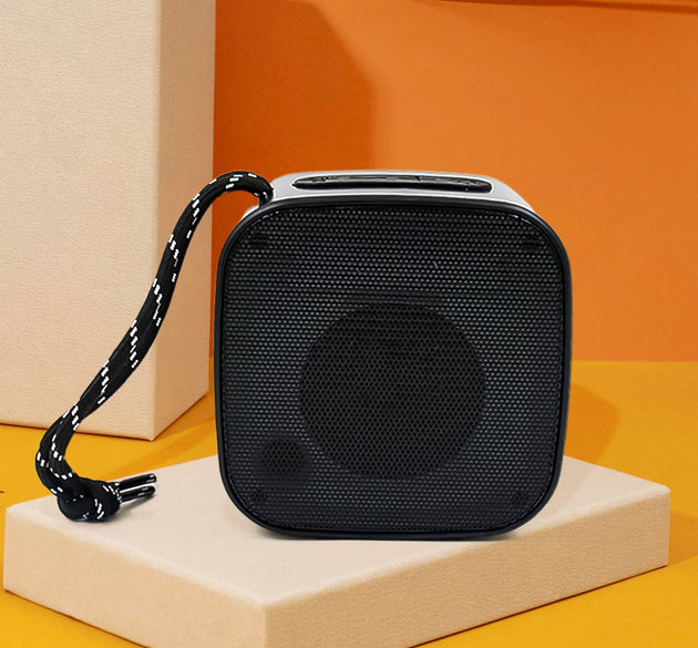 Portable Speaker