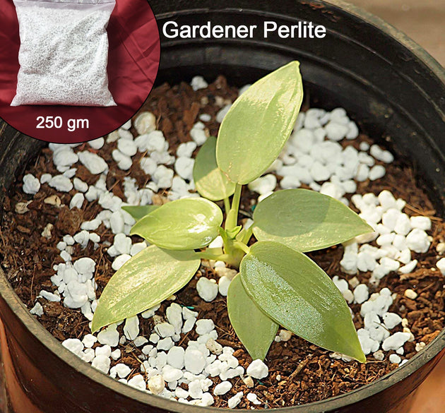 TerraBloom Perlite