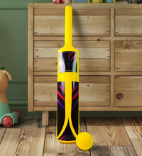 Mini Swing Cricket Set