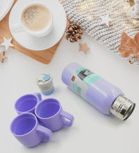 Stainless steel vacuum flask set with handle and cover