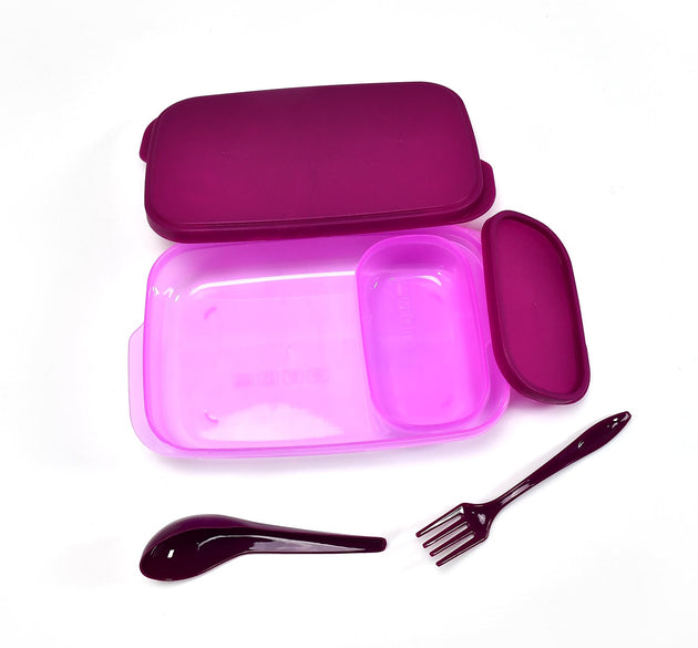 Food grade plastic lunch box with secure lid for freshness.