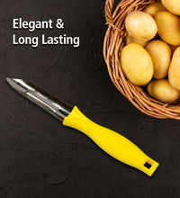 Stainless steel peeler for fruits and vegetables by Ganesh