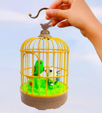 SkyNature Sound Activated Chirping Bird Pinjra