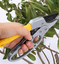 Petal Pruner