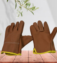 DuraPlant Gloves