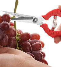 Trimming scissors with stainless steel blades, designed for efficient plant and flower care.