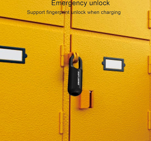 SmartLock Pro