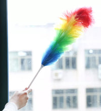 Colorful feather duster for cleaning