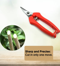 Durable stainless steel pruning scissors, ideal for cutting fruit trees and plants.