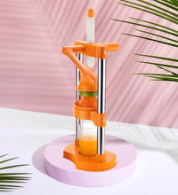 Juice squeezer for fruits and vegetables