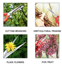 Durable stainless steel pruning scissors, with a non-slip grip for easy gardening.