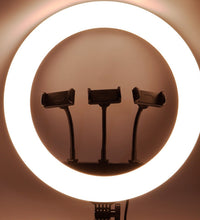 360 Degree Rotation LED Ring Light