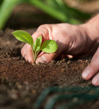 GreenCoco Fertilizer Block