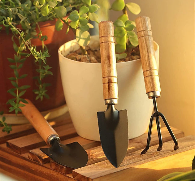 Small hand cultivator set, includes trowel and garden fork, perfect for gardening.