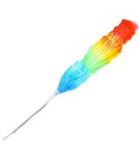 Dusting brush with colorful feathers