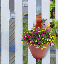 Hanging planter pot for plants and flowers.