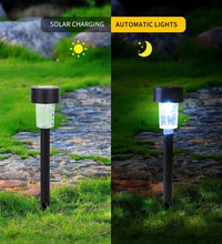 Solar-powered LED spotlight for outdoor landscaping and garden lighting.