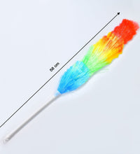 Colorful feather duster for cleaning dust