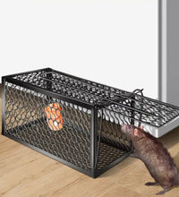 Foldable live animal trap cage.