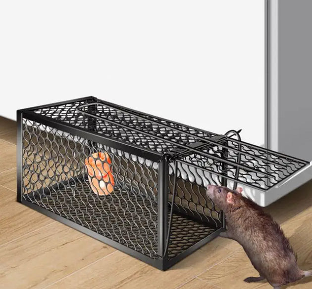 Foldable live animal trap cage.