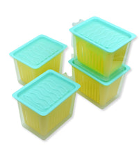 Set of 4 plastic fridge storage containers with handle for kitchen organization