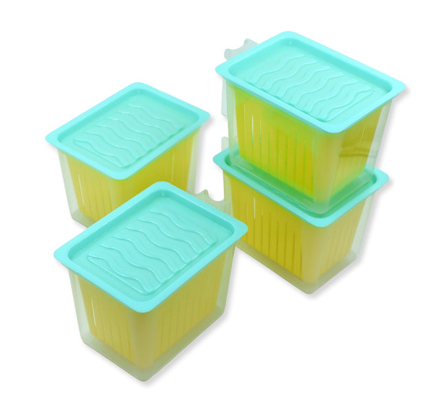 Set of 4 plastic fridge storage containers with handle for kitchen organization