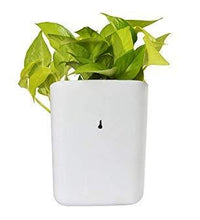 Hanging planter pot, perfect for small spaces.