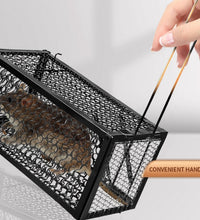 Live catch cage for mice and squirrels.