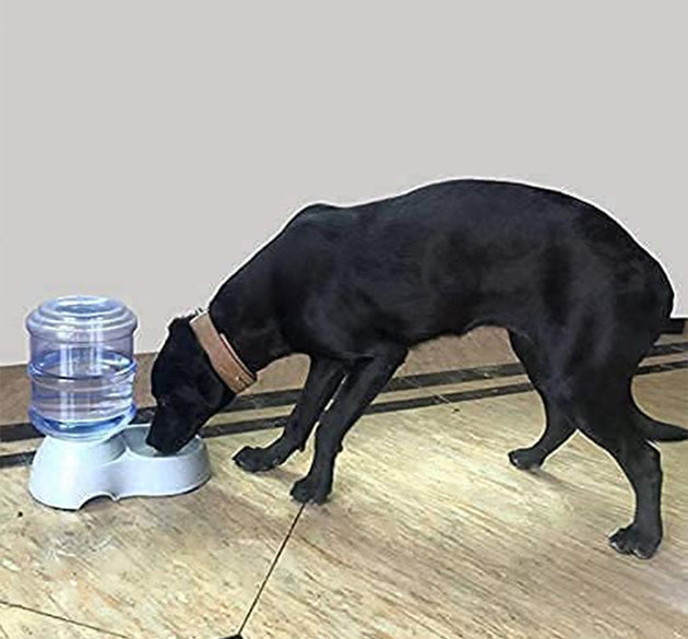 Automatic Pet Water Dispenser, Food Storage Bottle