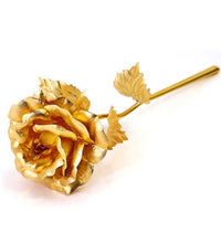 Golden rose for cafes and offices