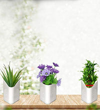 Multicolor vertical planter, easy to hang on walls.