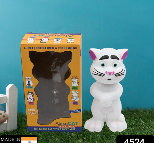 Tom Cat toy for children