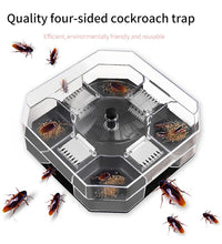 Roach killer traps box