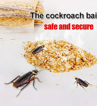 Box of cockroach traps