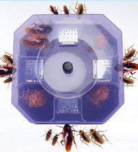 Cockroach traps box for bugs