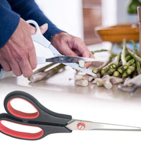 Scissor set for home and office use.