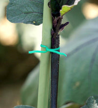 Green twist tie wire spool with built-in cutter for garden and yard.