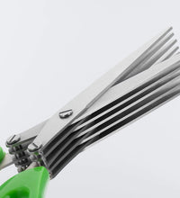 Kitchen herb scissors with five stainless steel blades