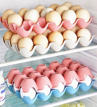 15 egg storage holder