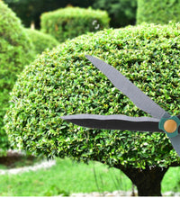 Sturdy garden big scissor for pruning.