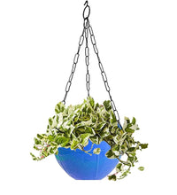 Decorative hanging flower pot