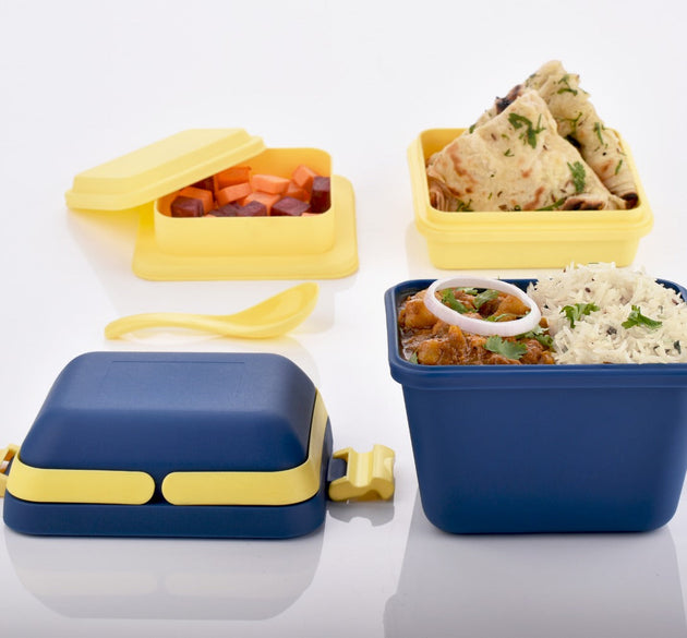 Airtight lunch box with handle and secure push lock