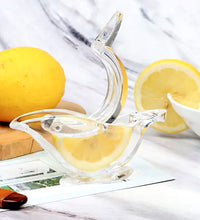 Citrus juicer with transparent design