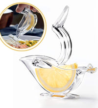 Manual fruit juicer for oranges and lemons