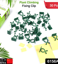 Box of 30 plant climbing clips for wall mounting and poultry use.